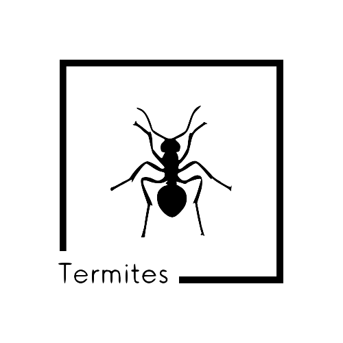 Diagnostic Termites et Merules - ADI 14