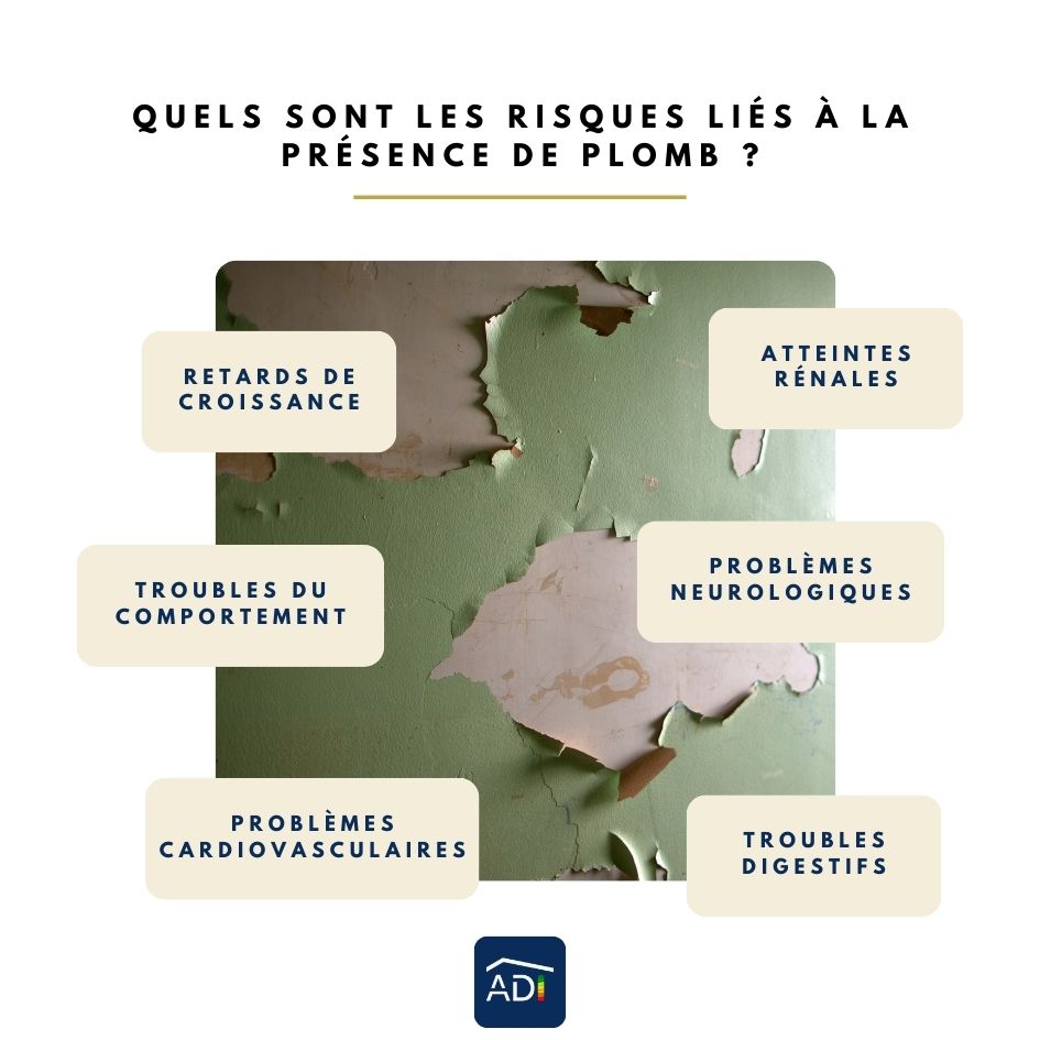 Quels sont les risques liés à la présence de plomb